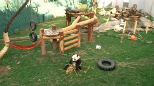 Путешествие в Шеньян