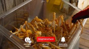 18 Интересных Фактов о Крабах