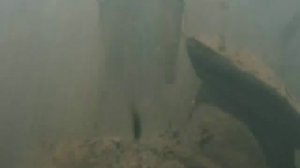 Адмиралъ (фрагмент)