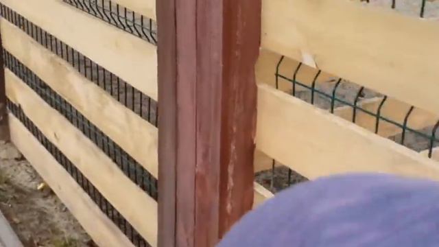 Влог осенняя прогулка / Гостиничный комплекс Чабаны / мини-зоопарк смотреть онлайн