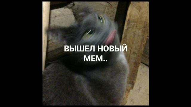 ЭТО ПЕСЕНКА ПРО МЕМЫ смотреть онлайн