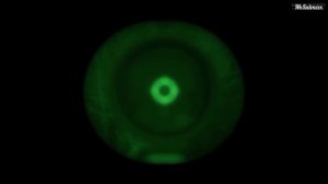 Обзор GROUND BRANCH — необычная реализация привычных механик | @MaksUlman 