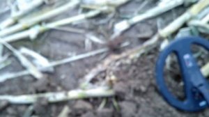 Поиск по Нижегородской области №10.