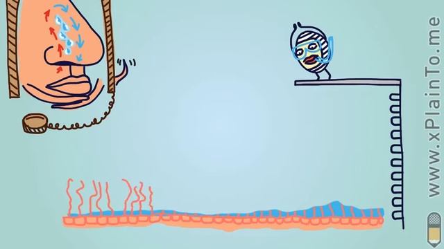 О пользе морской воды. Аквамарис смотреть онлайн