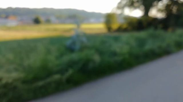 15 километров в час!