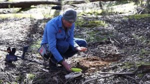 Testing Coiltek Goldhawk 9" Coil on Minelab GPX 6000 Metal Detector