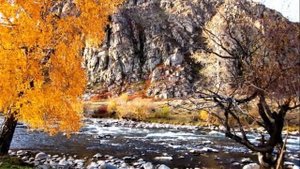 Республика Алтай (осень) Курен кус(Амыр Акчин)
