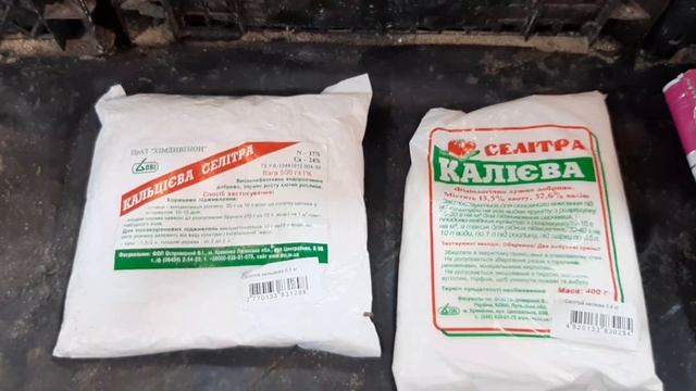 Применение удобрений при выгонке тюльпанов, польза или вред? ?Виды удобрения, состав, внесение. смотреть онлайн