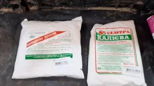 Применение удобрений при выгонке тюльпанов, польза или вред? ?Виды удобрения, состав, внесение.