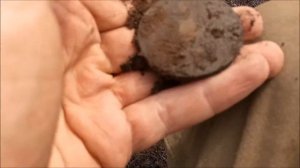 Удачный коп по Риму. Денарии.