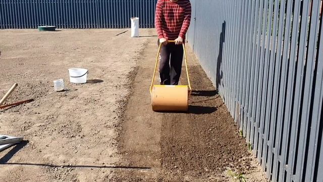 Выпуск№19.   Посеял газон - и вот что получилось ?I sowed the lawn with my own hands
