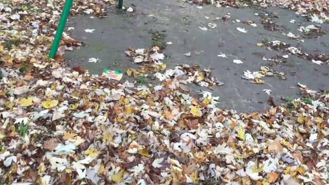 16 ноября 2022 года добрый день нет света! смотреть онлайн