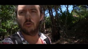 Port Douglas: Things to do, What to see. The Ultimate Paradise where the Forest meets the Reef.