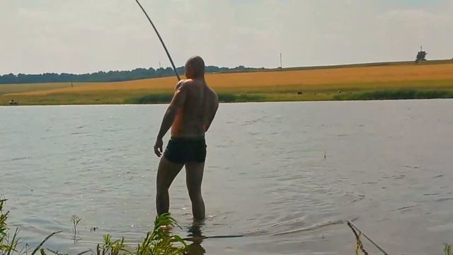 КАРП УТАЩИЛ УДОЧКУ! РЫБАЛКА В ГОРОДИЩЕ!!! смотреть онлайн