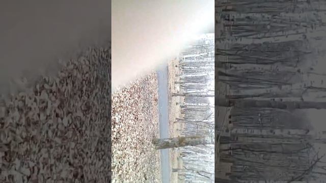 Косяк (полное имя Каспер) смотреть онлайн