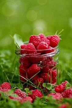 С Добрым Утром! Хорошего Дня! Красивые Пожелания Доброго Утра!