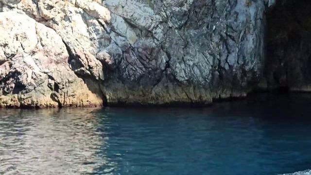 Медузы в Черном море.