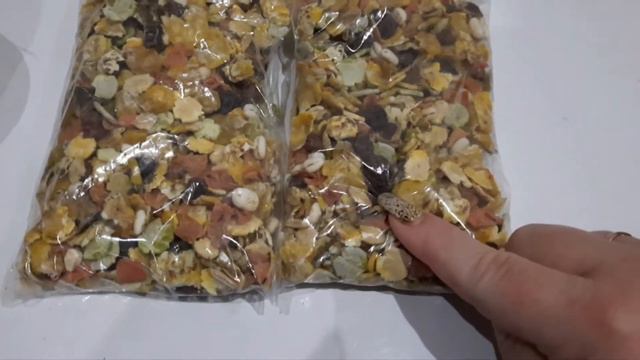 ЧТО НУЖНО ДЛЯ СОДЕРЖАНИЯ ШИНШИЛЛ смотреть онлайн