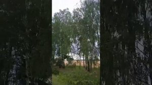 "Напилася я..." Александр Бардин ( группа "САДко")