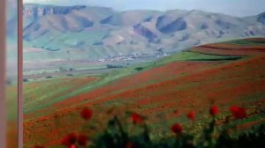 Сами курутой песни про Таджикистан