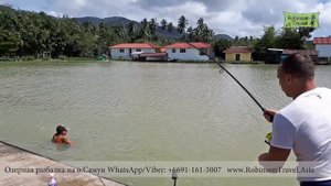 Озерная рыбалка на острове Самуи - TopCats - Best Lake fishing in koh Samui