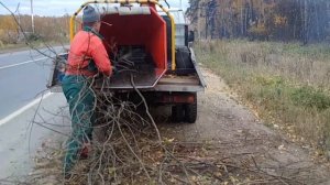 измельчитель веток скорпион.