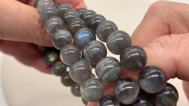 #108 Лабрадор | Чем отличается и как выбрать смотреть онлайн