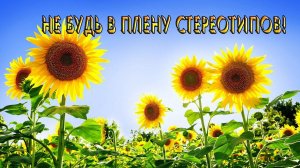 Не будь в плену стереотипов*