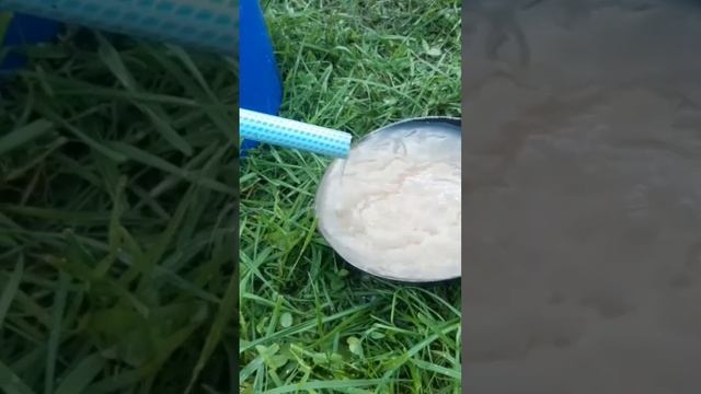 Вода из суглинка??? #абиссинскаяскважина #скважинасвоимируками #воданадаче #гидробурение