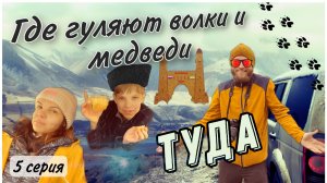 Гуляем там, где ходят волки. Страшно красиво! Ингушетия