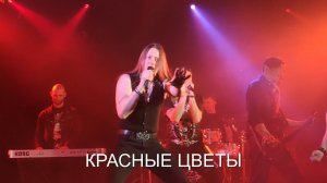 Ангел Хранитель - Красные цветы (20.02.2021)