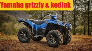 Квадроцикл Yamaha Grizzly 700 EPS и Kodiak 450. Тест драйв Yamaha Experience в Konakovo River Club