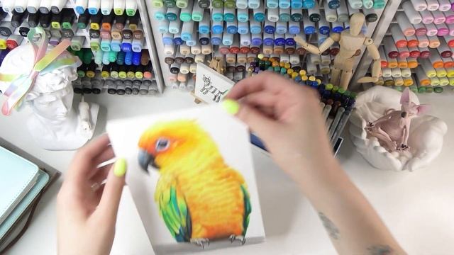 Обзор на китайские цветные карандаши Arrtx [Aliexpress, Ozon, Wildberries] смотреть онлайн