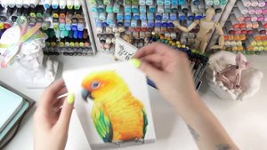 Обзор на китайские цветные карандаши Arrtx [Aliexpress, Ozon, Wildberries]