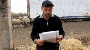 Как вывезти сельхоз животных с РФ в ДНР?How to export farm animals from the RF to the DPR