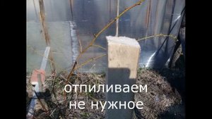 Парник из горбыля.