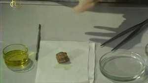 Взаимодействие щелочных металлов с водой