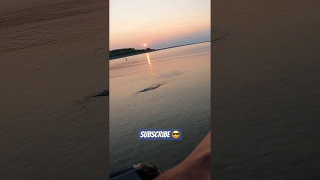 “Rebel Pop-R” | Topwater Poppers are the trick for bass! #subscribe #fishing @RebelLures смотреть онлайн