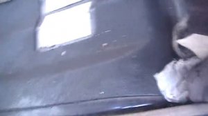 Турбина интеркулер TD27T