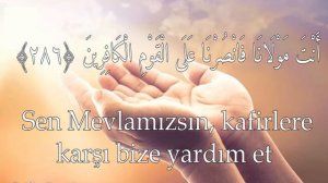 7 Fatiha 7 Ayatul Kursi  7 Amenaelrasoul 7 İhlas 7 Felak 7 Nas quran Rukye