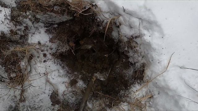 Копаю железо зимой день 1 смотреть онлайн