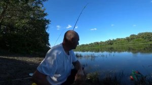 Рыбалка на Дону в Ростовской области на карася часть первая.
