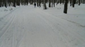 После того как поменял Tisa top Skating на Salomon,  погоня без палок