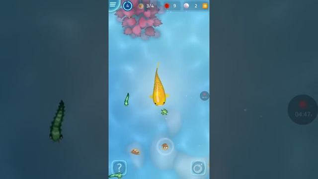 ZEN KOI игра? смотреть онлайн