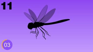 Guess the INSECTS from Their Shadow | Quiz Game for Kids, Preschoolers and Kindergarten