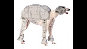 Имперский марш Star Wars без авторских прав