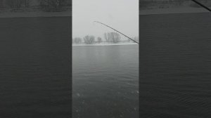 Первая рыбалка зимой на фидер