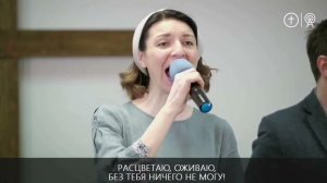 @krashve Ты Лоза, а мы ветви _