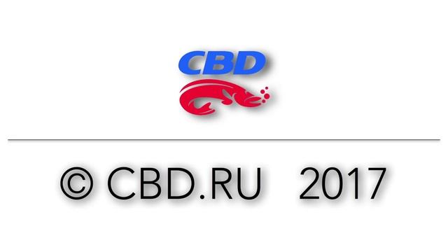 CBD-17-007-03 ПЛАМЕГАСИТЕЛЬ. КАК УСТАНАВЛИВАТЬ смотреть онлайн