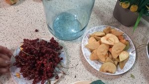 Компот из красной черемухи- польза для организма!